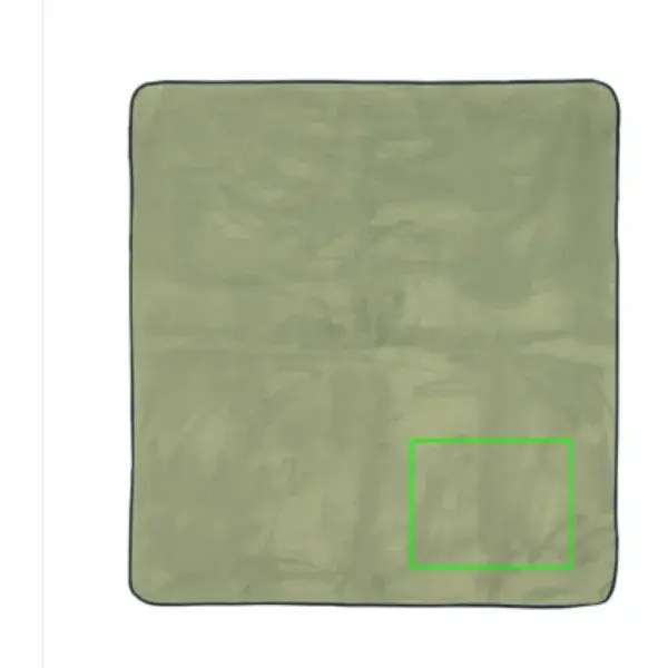 Print position: Blanket