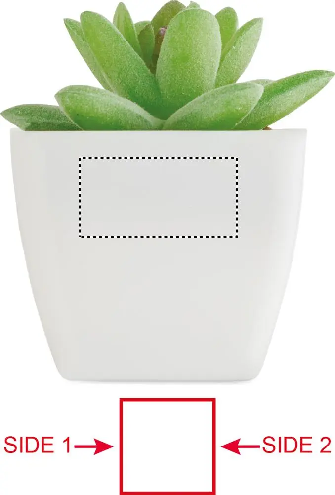 Print position: Side - 2