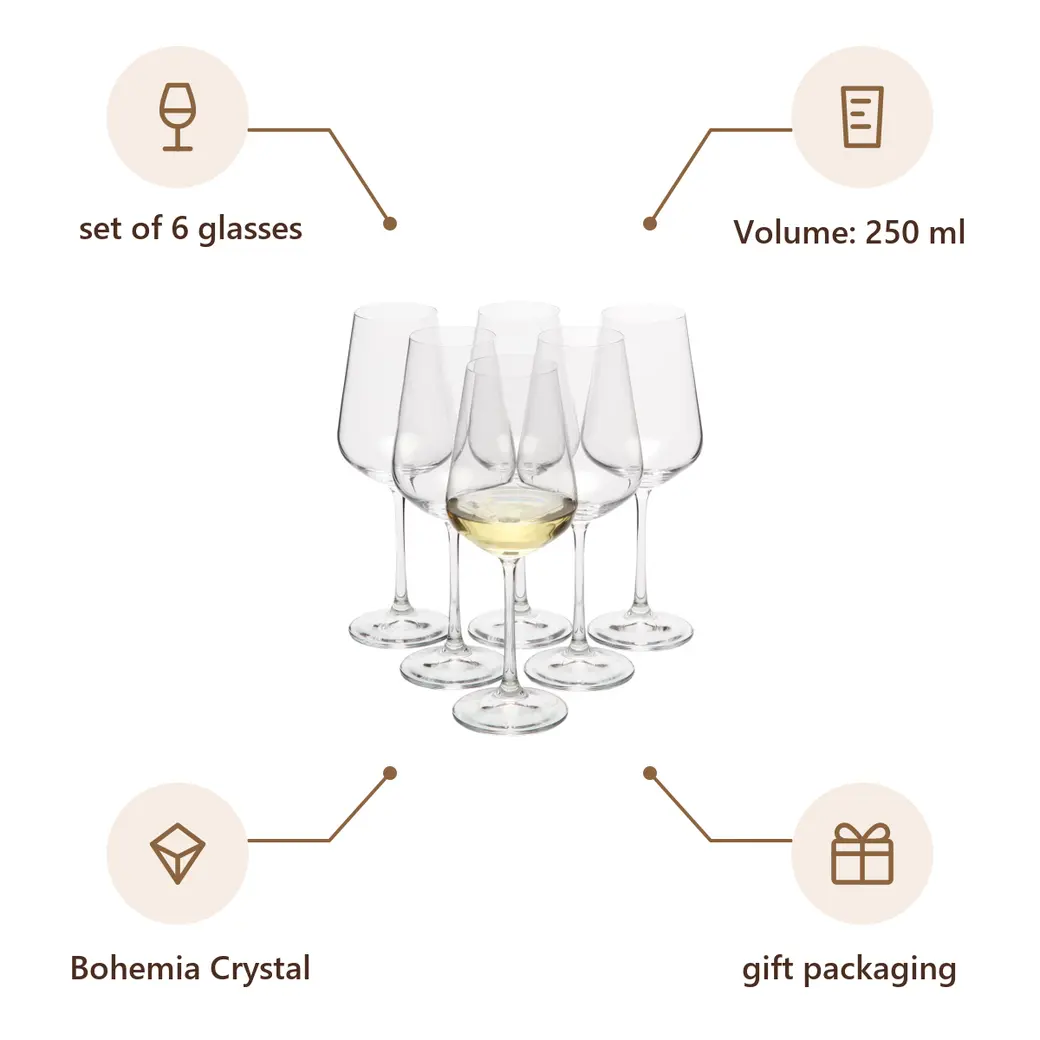 Infographic: VS MORETON 6 Set of 6 wine glasses, 250 ml