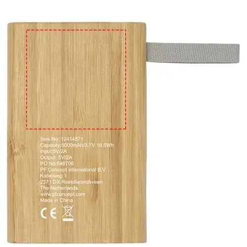 Print position: back