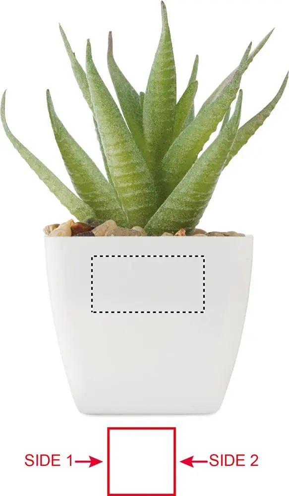 Print position: Side - 1
