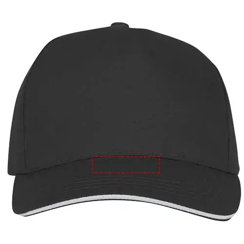 Print position: visor