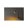 2-in-1 desk lamp and torch