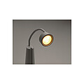 2-in-1 desk lamp and torch