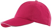 6 panel sandwich cap 