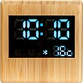 Bamboo speaker