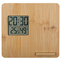 Bamboo weather station
