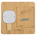 Bamboo weather station