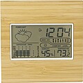 Bamboo weather station