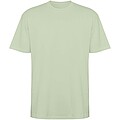 Bull short sleeve unisex oversized t-shirt, mist green