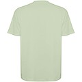 Bull short sleeve unisex oversized t-shirt, mist green