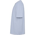 Bull short sleeve unisex oversized t-shirt, zen blue