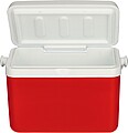 Cooler box 4 liter Sunkissed, red