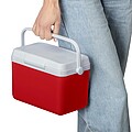Cooler box 4 liter Sunkissed, red