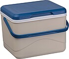 CrisMa cooler box with ice pack, beige