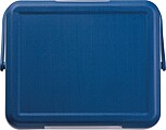 CrisMa cooler box with ice pack, beige