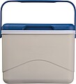 CrisMa cooler box with ice pack, beige