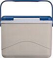 CrisMa cooler box with ice pack, beige