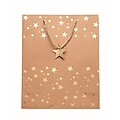 Elegant gift kraft paper bag