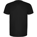 Imola short sleeve mens sports t-shirt