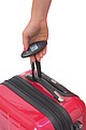 Luggage scale