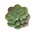 Mini artificial plant, white
