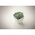 Mini artificial plant, white