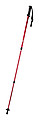 nordic walking sticks