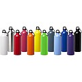 Oregon 750 ml RCS certified single wall stainless steel water bottle with carabiner, orange