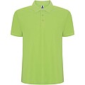 Pegaso Premium short sleeve mens polo, mantis green