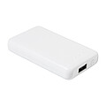 RABS power bank