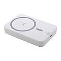 RABS power bank