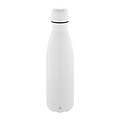 recycled stainless steel bottle