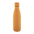 recycled stainless steel bottle