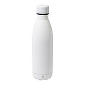 recycled stainless steel bottle