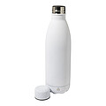 recycled stainless steel bottle