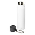 RSS insulated bottle