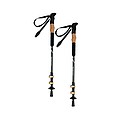 SCHWARZWOLF DENALI Set of 2 walking sticks