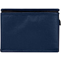 Spectrum 6-can recycled non-woven cooler bag 4L