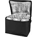 Spectrum 6-can recycled non-woven cooler bag 4L
