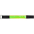 Sportsband Strivo