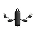 Urban Vitamin Dublin 100W 4 -in-1 keychain cable