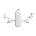 Urban Vitamin Dublin 100W 4 -in-1 keychain cable