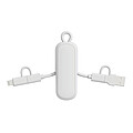 Urban Vitamin Dublin 100W 4 -in-1 keychain cable