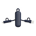 Urban Vitamin Dublin 100W 4 -in-1 keychain cable