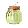 Vanilla plant based wax candle