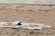 VINGA Alba GRS RPET picnic blanket
