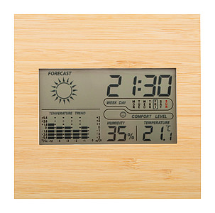 bamboo weather station