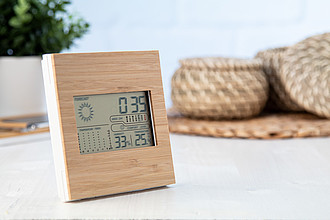 bamboo weather station