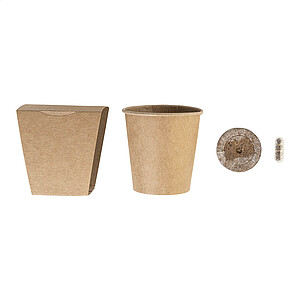 Christmas tree growing kit